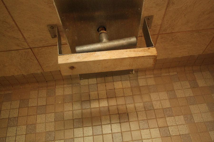 Steam Head Guard