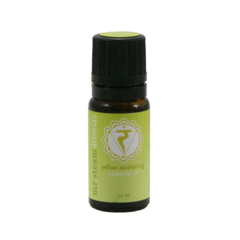 104006_4.jpg MrSteam_104006_Aromatherapy_4