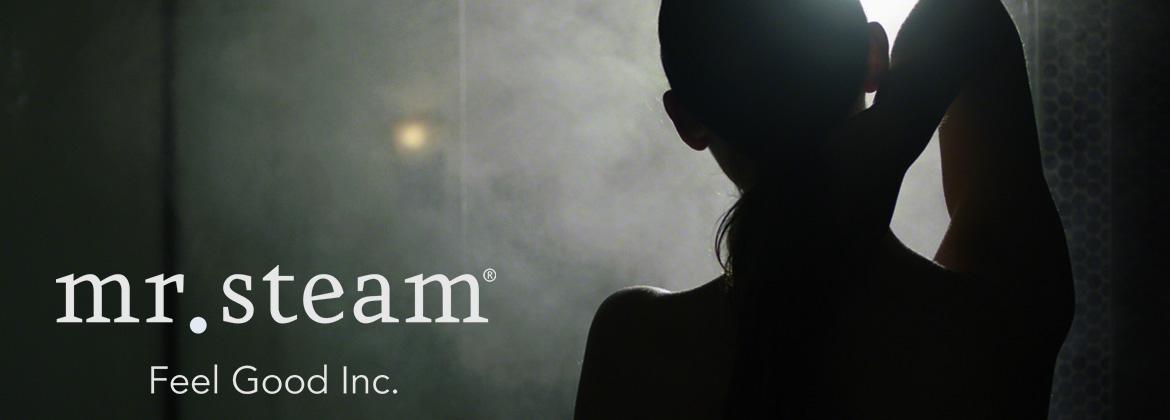 Mr. Steam Mr. Steam