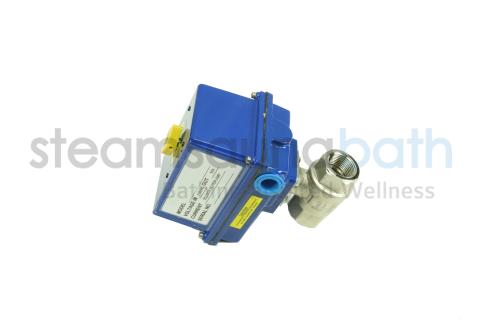 103661_1.jpg MrSteam_103661_Parts_1