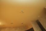 Mr Steam Paint Peeling CU1000A