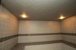 Steamist Moisture Covered Ceiling HC 48